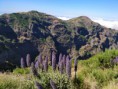/album/fotos-madeira/img-20180728-111310-jpg/